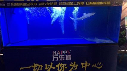 海洋王国展、梦幻水母王国展、海洋生物展、呆萌海狮表演、精彩美人鱼表演、