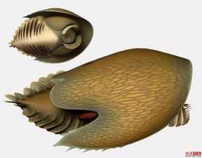 科学图片 最新银河系3d地图揭晓宇宙谜团