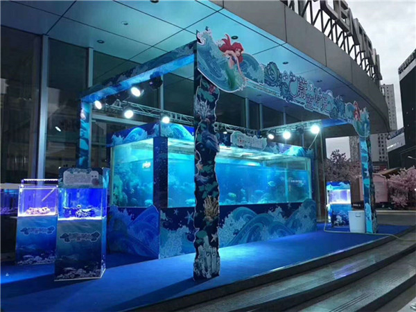 全国巡展海洋生物展美人鱼表演夏季人气活动推荐